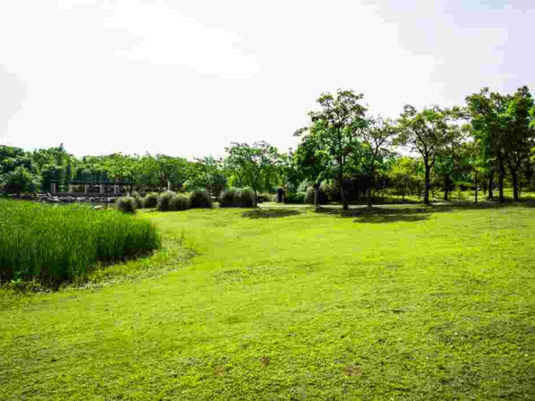 house&land2 house&land2